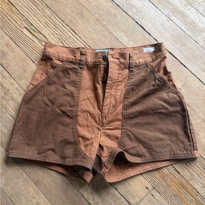 Patagonia Stand Up Shorts Vote the A**Holes Out